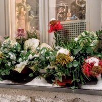 Вечерняя прогулка :: Veera V