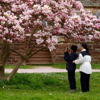 Отправим фото во Вьетнам :: Юрий. Шмаков