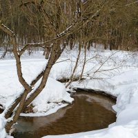 Оживают ручьи после зимы. :: Милешкин Владимир Алексеевич 
