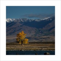 * :: Александр Иванов