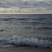 Волна ~~~ :: Алёна Савина