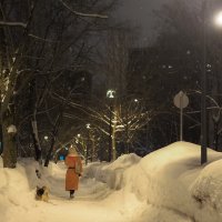 Прогулки в Зимнем Парке :: юрий поляков