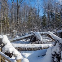 *** :: Геннадий Порохов