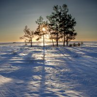 Зимний лес 5/5 :: Barguzin_45 Иваныч