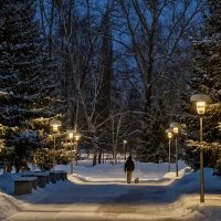 В тишине... :: Сергей Шатохин В тишине... :: Сергей Шатохин