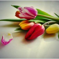 БУКЕТ... :: Elvira E. БУКЕТ... :: Elvira E.