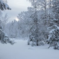 *** :: Андрей Дурапов