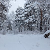 *** :: Андрей Дурапов