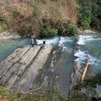 На Дагомысских корытах :: Мишель71 