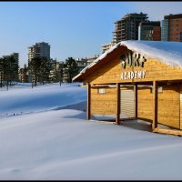 Особенности национального серфинга :: **** vedin