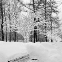 Замело, засыпало... :: Любимова Ольга 