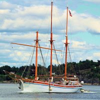 Белоснежная красавица :: В.И 