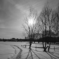 *** :: Елена Агеева