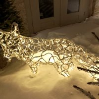 Вечерняя прогулка :: Veera V