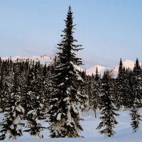 Зима :: Георгиевич Зима :: Георгиевич