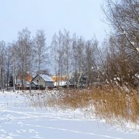 Смоленщина в январе. :: Милешкин Владимир Алексеевич 