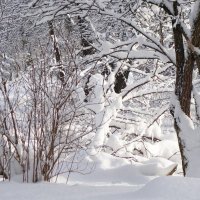 Снег, снежок... :: Рита Симонова