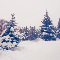 Зима в городе :: Сергей Кочнев