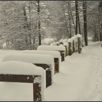 зимний променад :: Aleksandr Gal