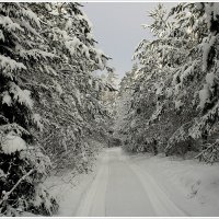 Зимняя дорога :: Aleksandr Gal