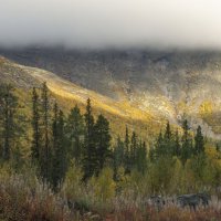 Луч солнца золотого........... :: Юрий Цыплятников