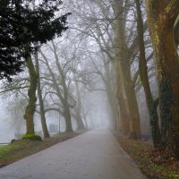 В туман :: Юрий. Шмаков