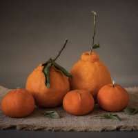 Семейный портрет. Шуточный натюрморт. :: Лилия * Семейный портрет. Шуточный натюрморт. :: Лилия *