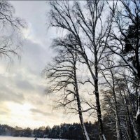 Подмосковье :: Тамара Вебер