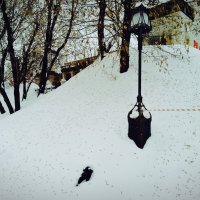 Сугробы 2026 года. :: Наталья Вязигина