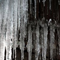 когда теплеет...... :: Ольга 