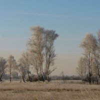Осень поздняя,седая... :: nadyasilyuk Вознюк