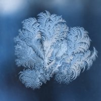 Проводы зимы... :: Виктор Фельдшеров Проводы зимы... :: Виктор Фельдшеров