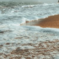 Пушистый прибой :: Дмитрий 