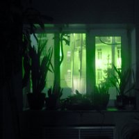 *** :: Лера *** :: Лера