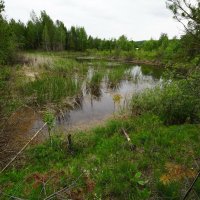 Уральские мотивы... :: Николай Гирш