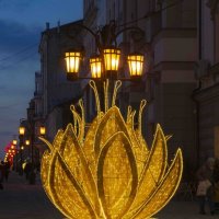 почти лотос :: Ирина Милонова почти лотос :: Ирина Милонова