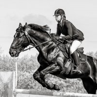 Конкур :: SanSan 