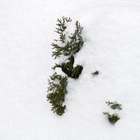 Скоро растает :: Валерий Иванович