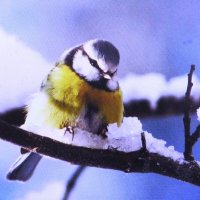 Лазоревка :: Людмила Смородинская Лазоревка :: Людмила Смородинская