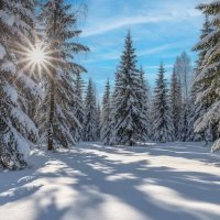 Зимние зарисовки ... :: Ravile 