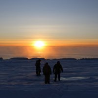 Морозное солнце у Белого моря :: Ольга Морозное солнце у Белого моря :: Ольга