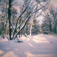 Зимними аллеями :: Наталья Лакомова