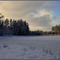 На озере :: Aleksandr Gal