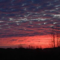 рассвет :: Лера 