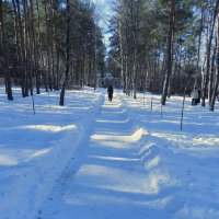 зима  уходит :: Лера 