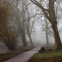 Туманный февраль :: Юрий. Шмаков