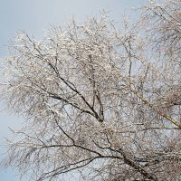 Белый-белый мир :: Мария К.