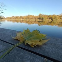 Осень пруд прогресс биофабрика :: Слава Коломойцев