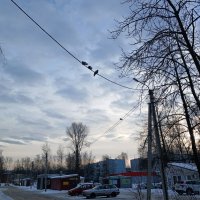 Завтра весна... :: BoxerMak Mak