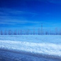 конец зимы :: Венера Чуйкова конец зимы :: Венера Чуйкова